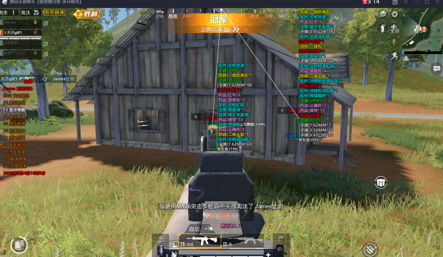 突破游戏界限：探索和平精英辅助工具的神秘世